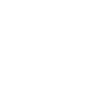 Conversation and company icon