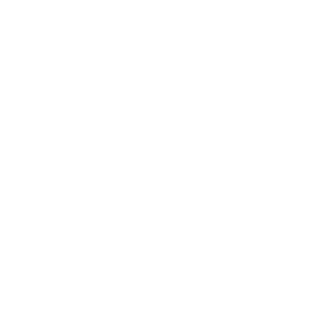 Companion care icon