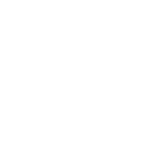 Light housekeeping icon